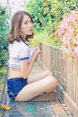 杀破狼2电影