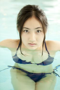 企鹅群里有特务