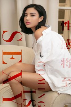 最新小说