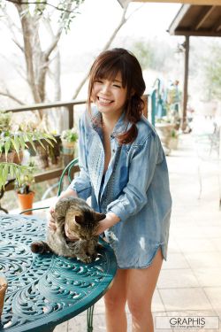 老朝奉