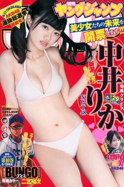 凤观锦夜